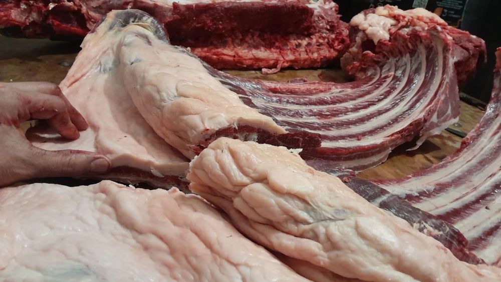 Продам мясо конины