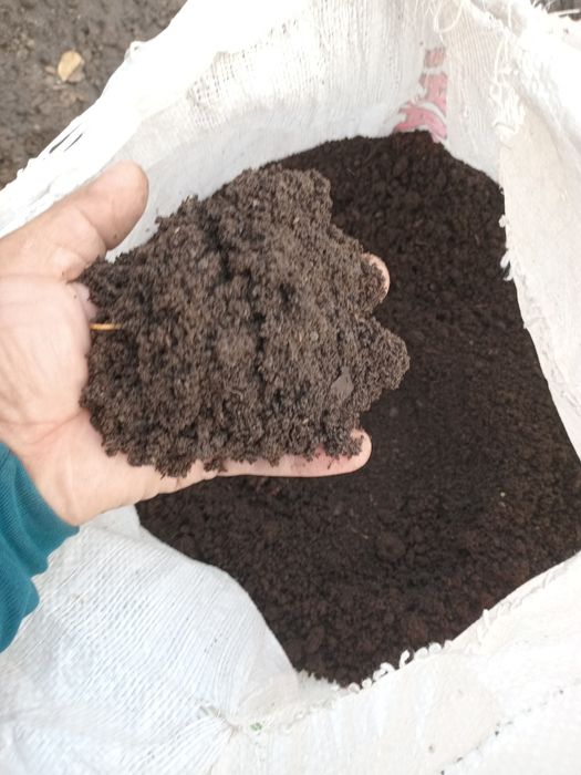 Biogumus sotaman sifati alo darajada