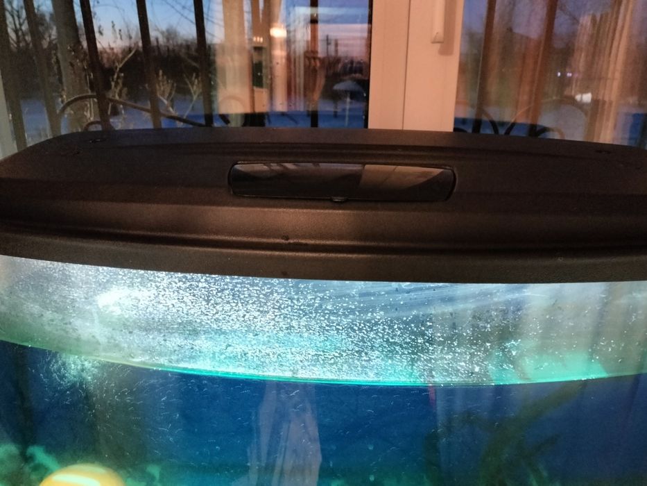 Аквариум 100л и 2 аксалотля