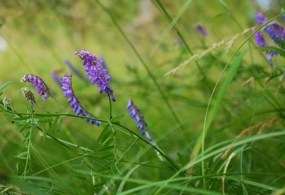 Vând Canon Eos 750D