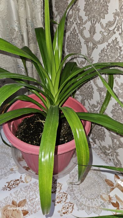 Скидка от 1500тг продам