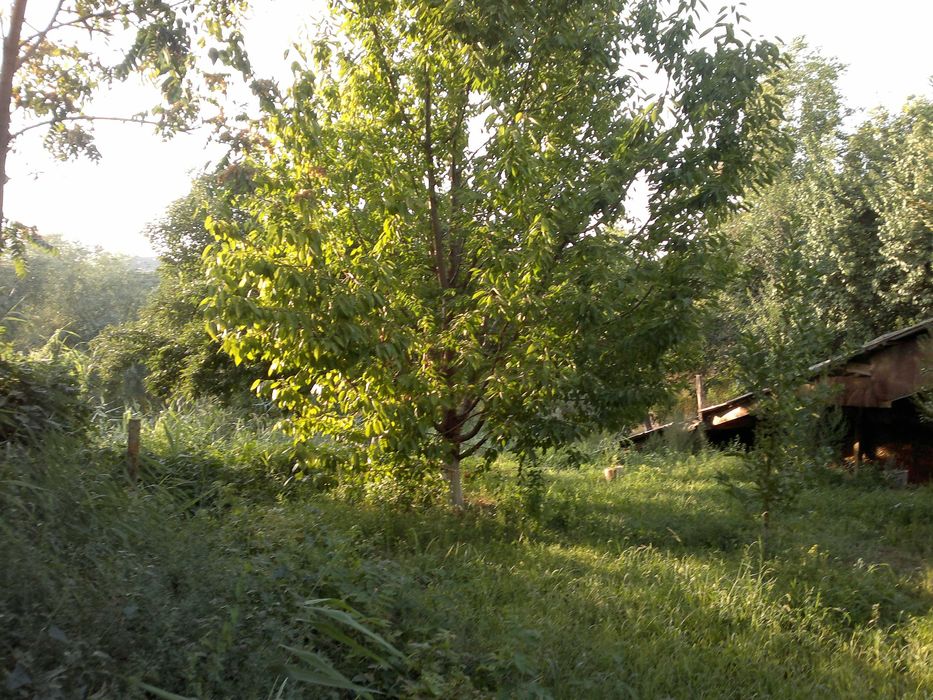 Продаётся большой дом с участком 8 соток в центре г.Янгиюль