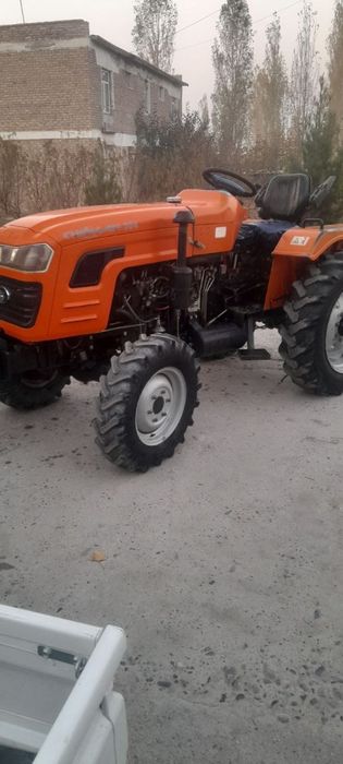 2019 г. 2 поршин холати идял