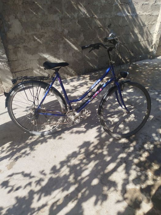 Велик сотилади Голландия