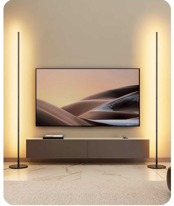 EDISHINE Pachet de 2 Lămpi de Podea LED Dimmabile cu Funcție de Memorie – Neagră 146cm