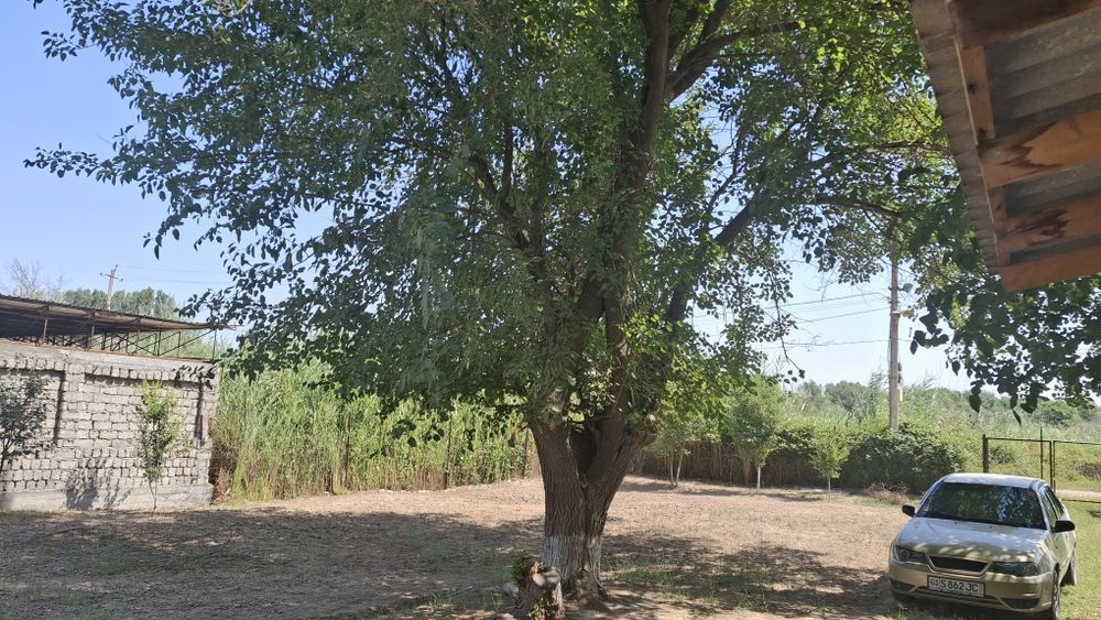 Дачный участок 10-11 соток