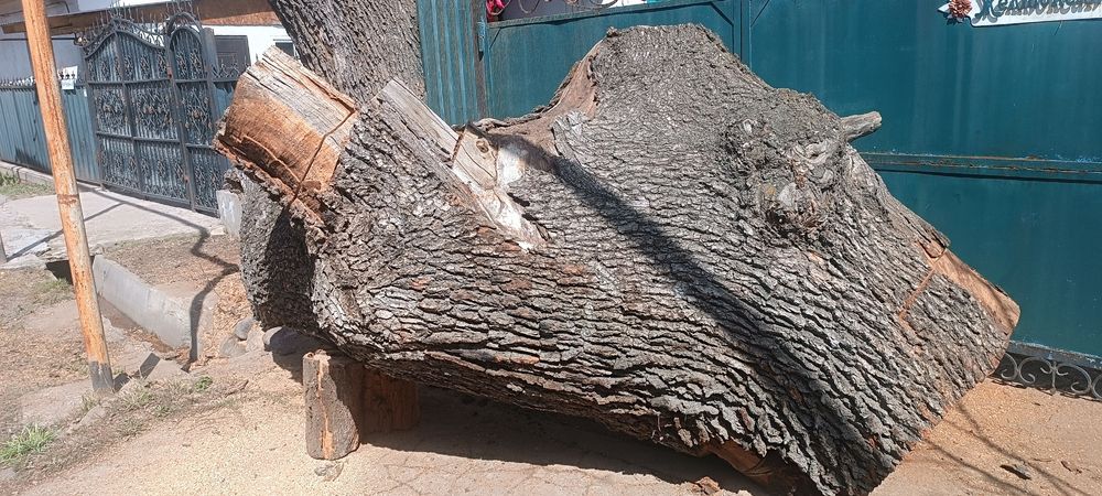 Дуб на дрова  три куба