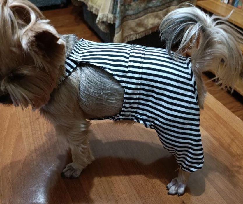 Вязаная одежда для собак и кошек,одежда для собак