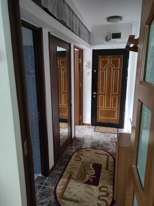 Apartament cu 1 cameră cu balcon, pet-friendly, în Alexandru