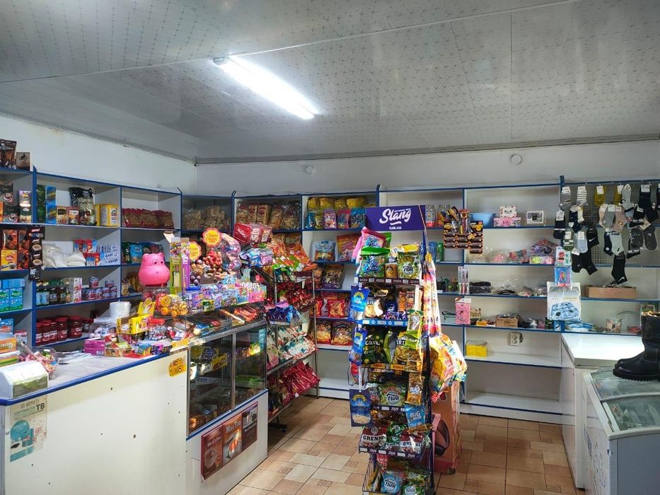 Магазин, дом , фазенда