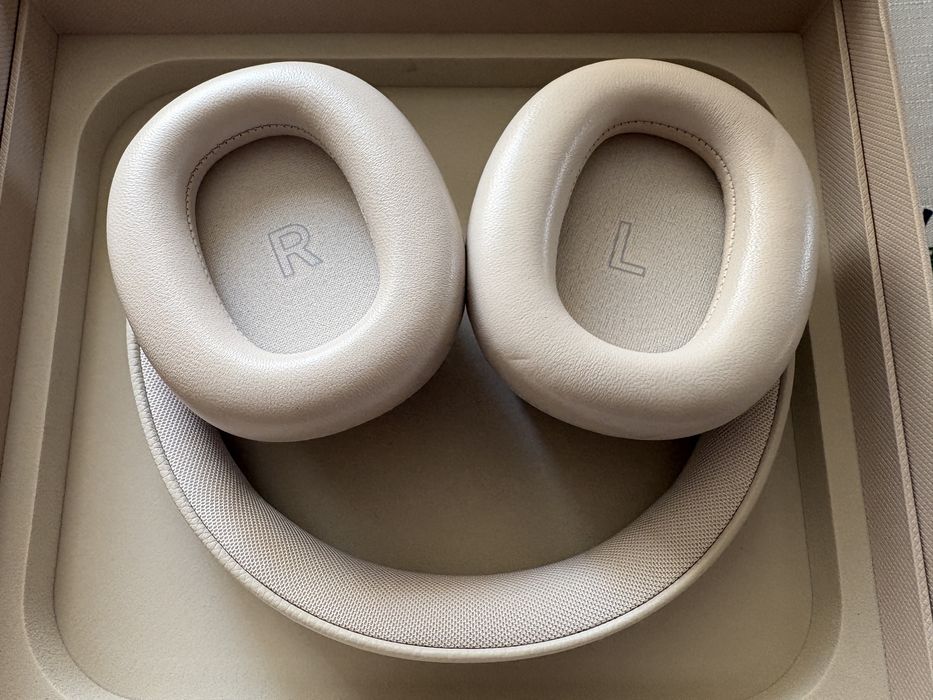 Bang & Olufsen Beoplay H95