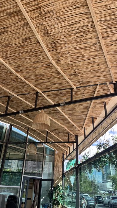 Декоративный камыш!!!