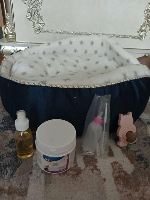 Продаеться для наших любимых котикам ляжанка
