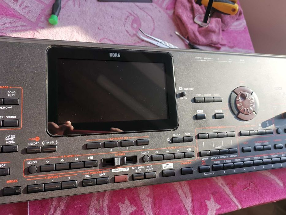 Estetizare, Igienizare Korg Pa