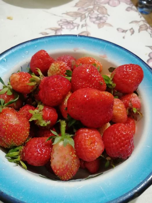 Продам дачу 2 этажа со горизонт общество