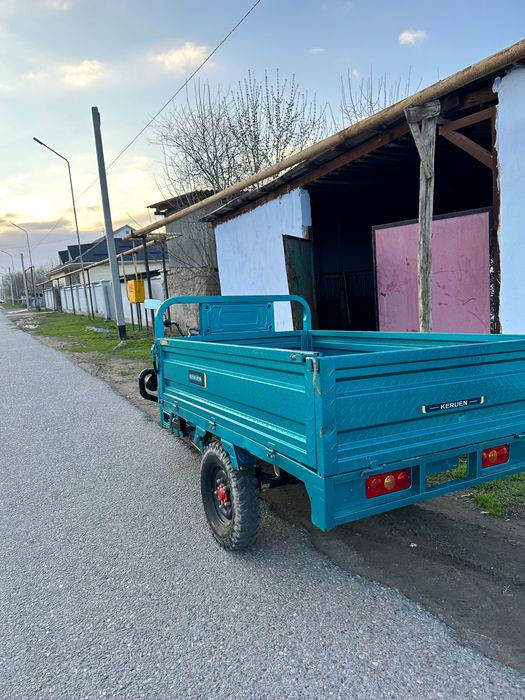 Муравей электрический