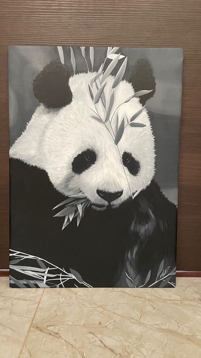 Картини По поръчкa, Карикатури, Портрети