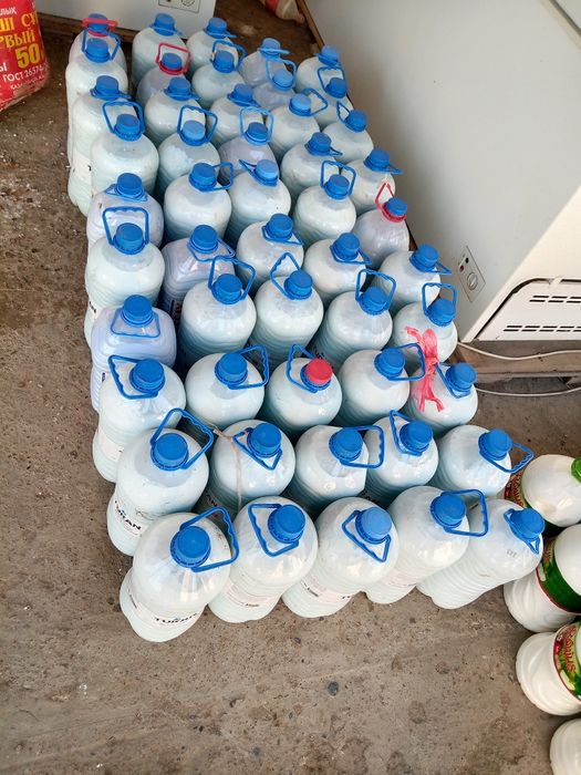 Кымыз Шубат Оптом