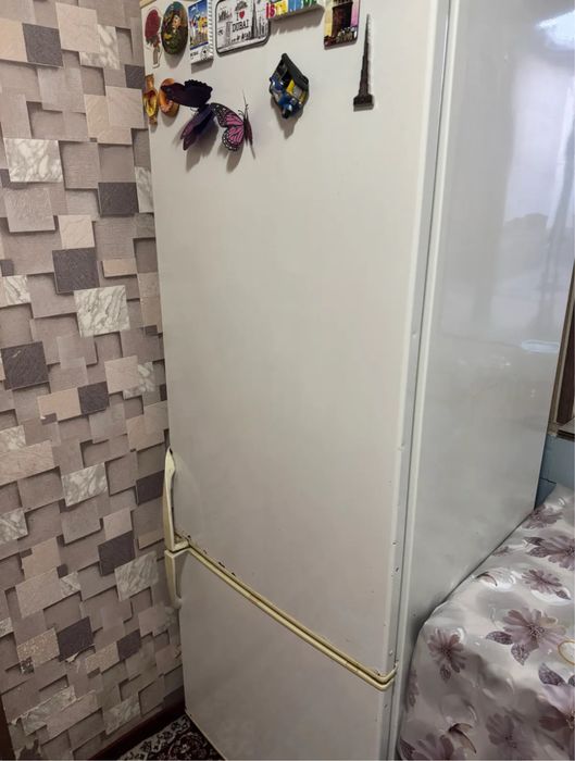 snaige холодильник рабочий