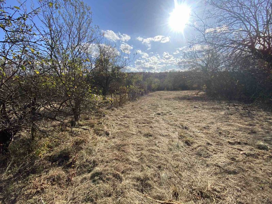 Продава се Парцел в с. Балванците, Област Габрово - 5000 кв.м за 10 €/кв.м - Снимка #7