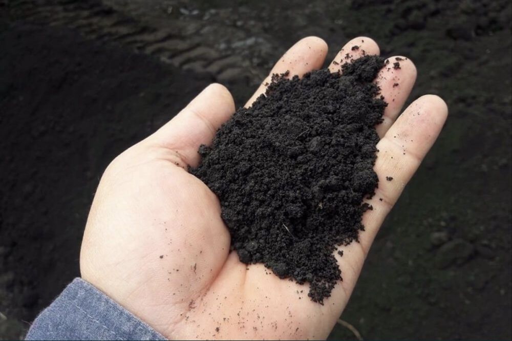 Чернозем в мешках