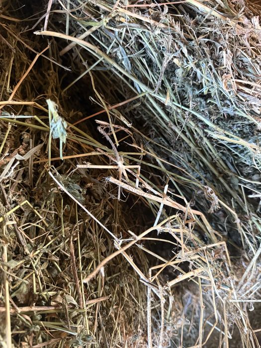 Vand baloti de lucerna