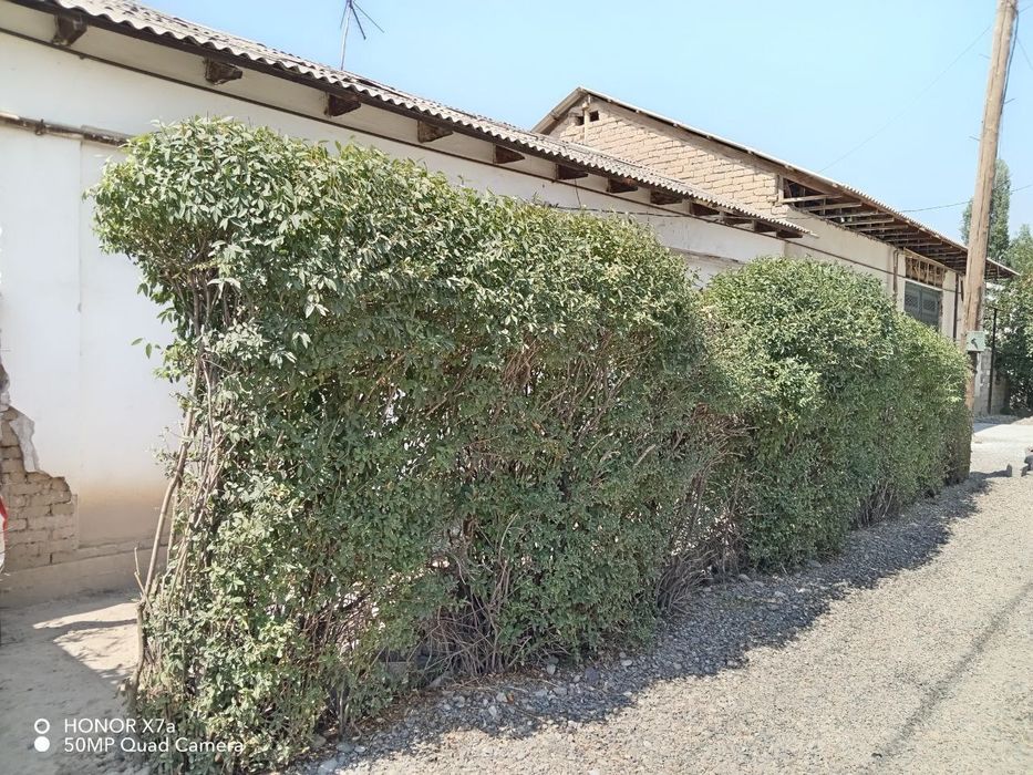 Янги хаёт тумани  5 сотих 3 хона