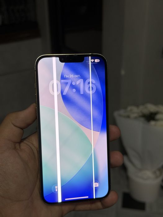 IPhone 13 Pro Max 256 gb