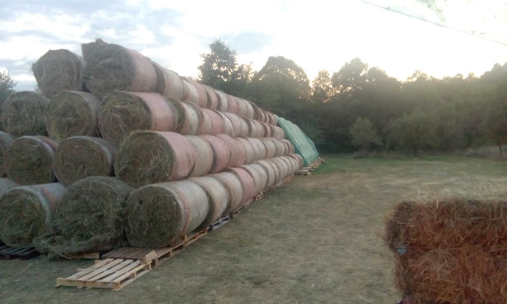 Продавам бали ливадно сено