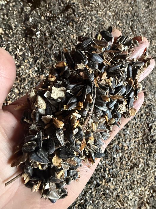 Отход подсолнечника