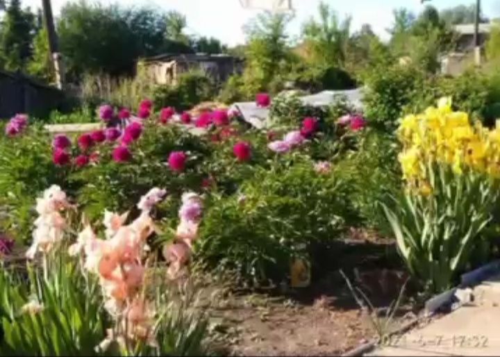 Продам. Земельный участок.