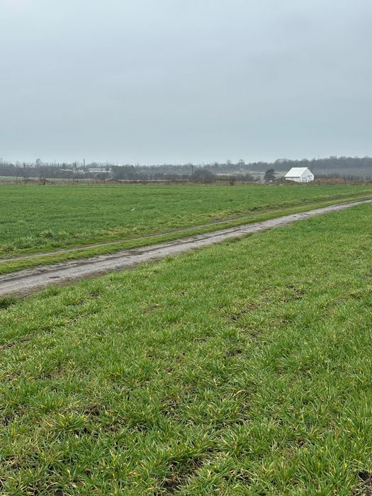 Închiriere teren Agigea