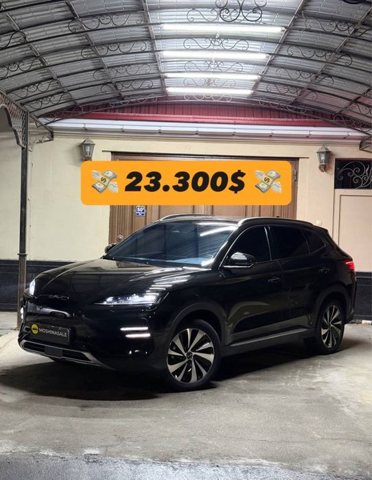 BYD Champion 605km 2023