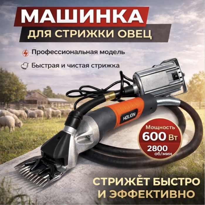 Қой қырқитын машинка