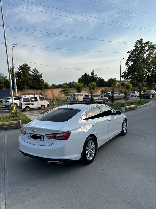 Malibu primer 2021 yil