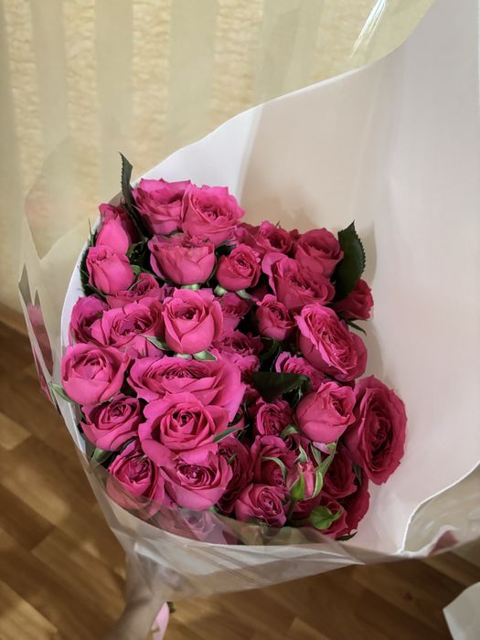 Кустовые розовые РОЗЫ