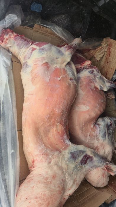 Продам баранину две головы