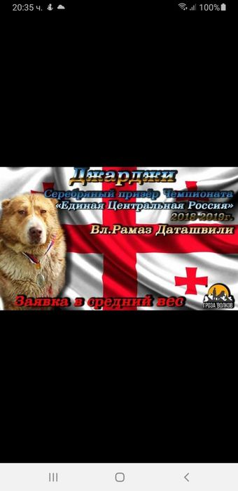 Кавказки вълкодавчета