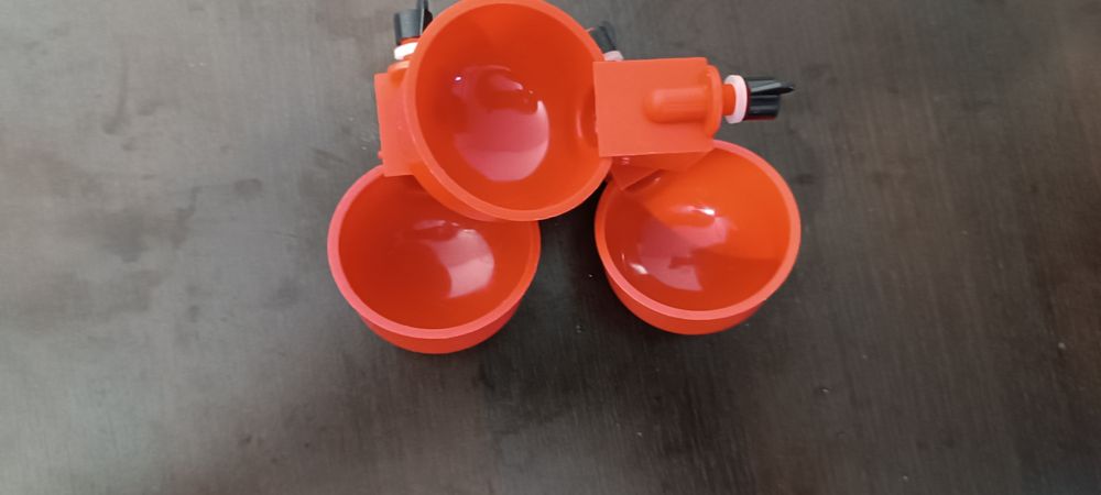 Adapatoare pui și păsări