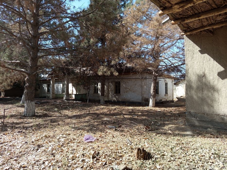 Дом , земельный участок