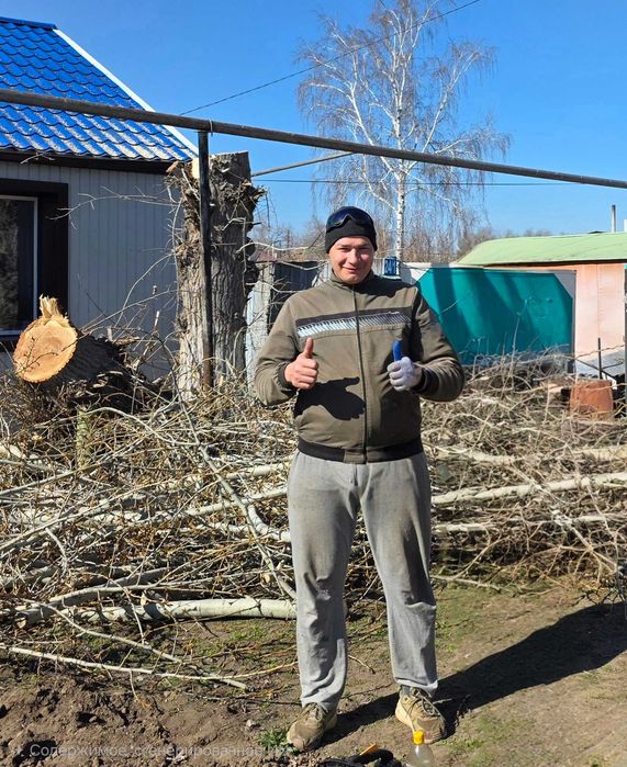 Спил, кронирование, выкорчевывание, обрезка деревьев