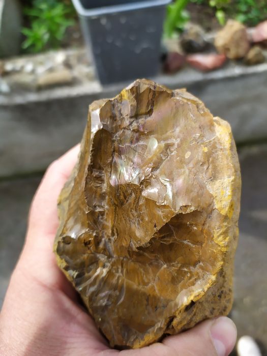 Опал кафяв от родопите прави дъга от три цвята лилав син зелен