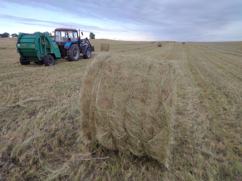 Продаётся рулоник прф145