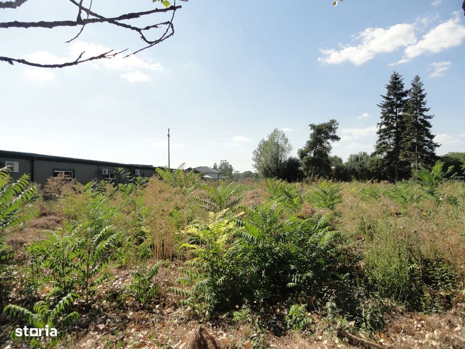 Teren intravilan 2.379 mp in Gradiste, langa Romana Residence