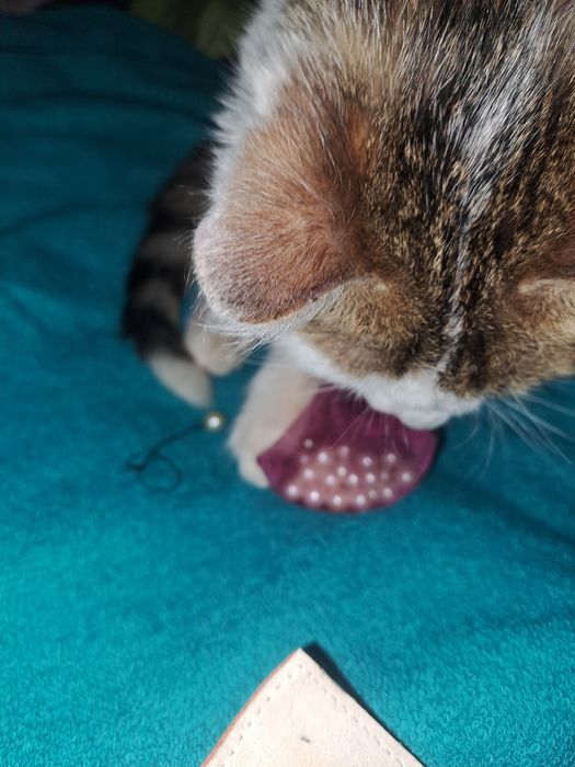 Perle de cultura 37 bucăți cu gaura f mica