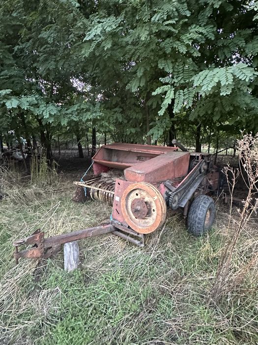 Balotiera sgorbati in stare buna