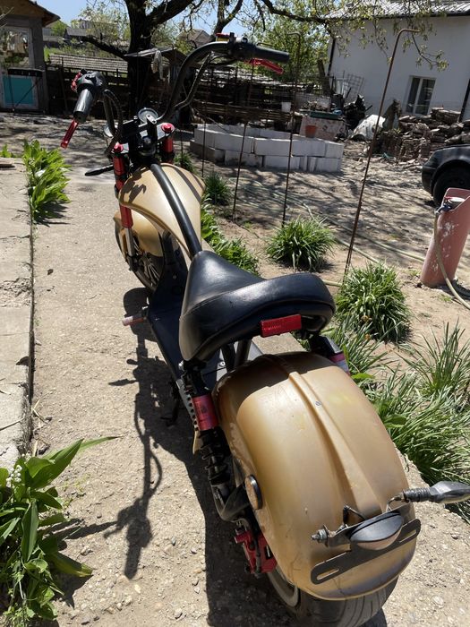 Scuter electric chopper cp4
