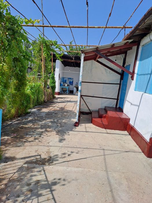 Turar Joy Kotta Xovli