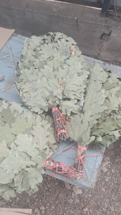 Веники для баня  краснодарскии