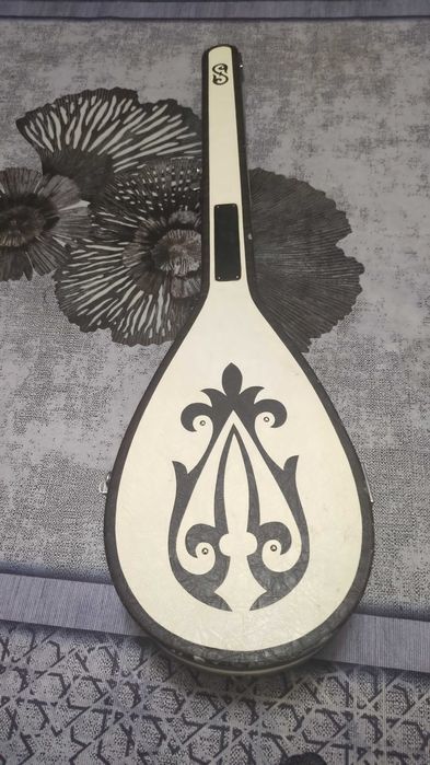 Электрондық кәсіби домбыра